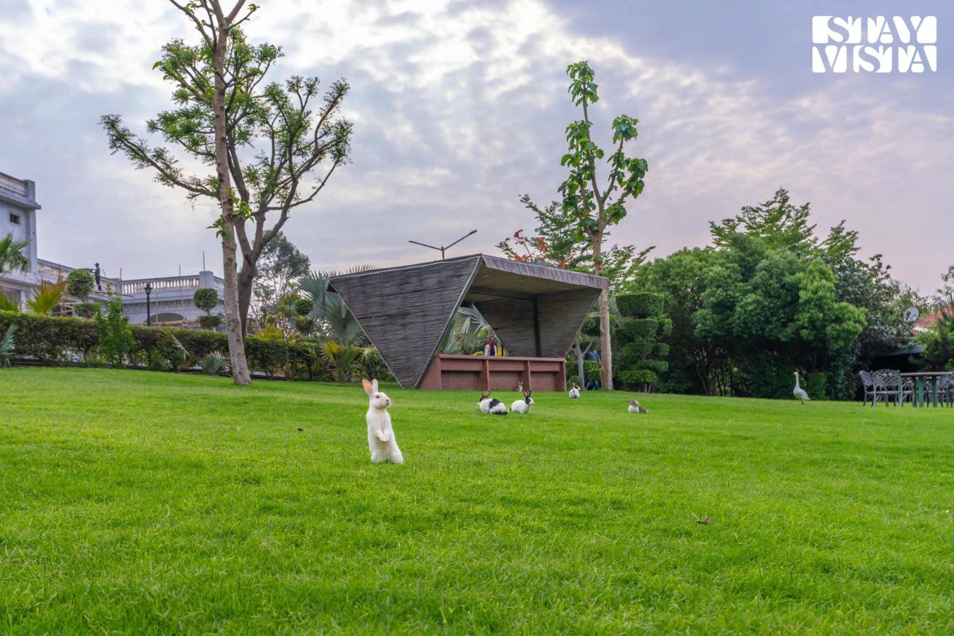 Stayvista At Maple Farms With Pool, Bbq & Bonfire Sohna Exterior foto